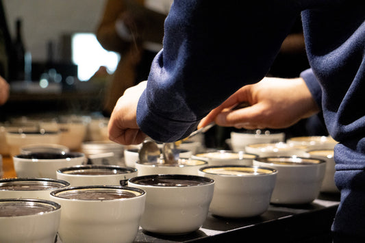 Tasting Peru | Cupping Club, December 2023