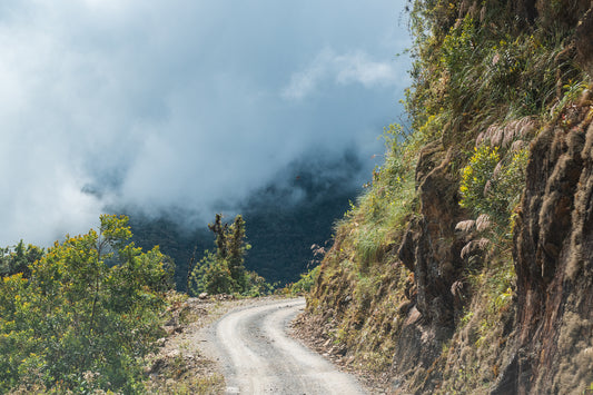 Notes from Origin: Peru, August 2019