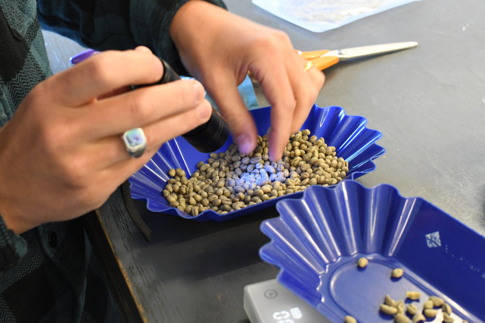 How the Team Assess Green | Sourcing