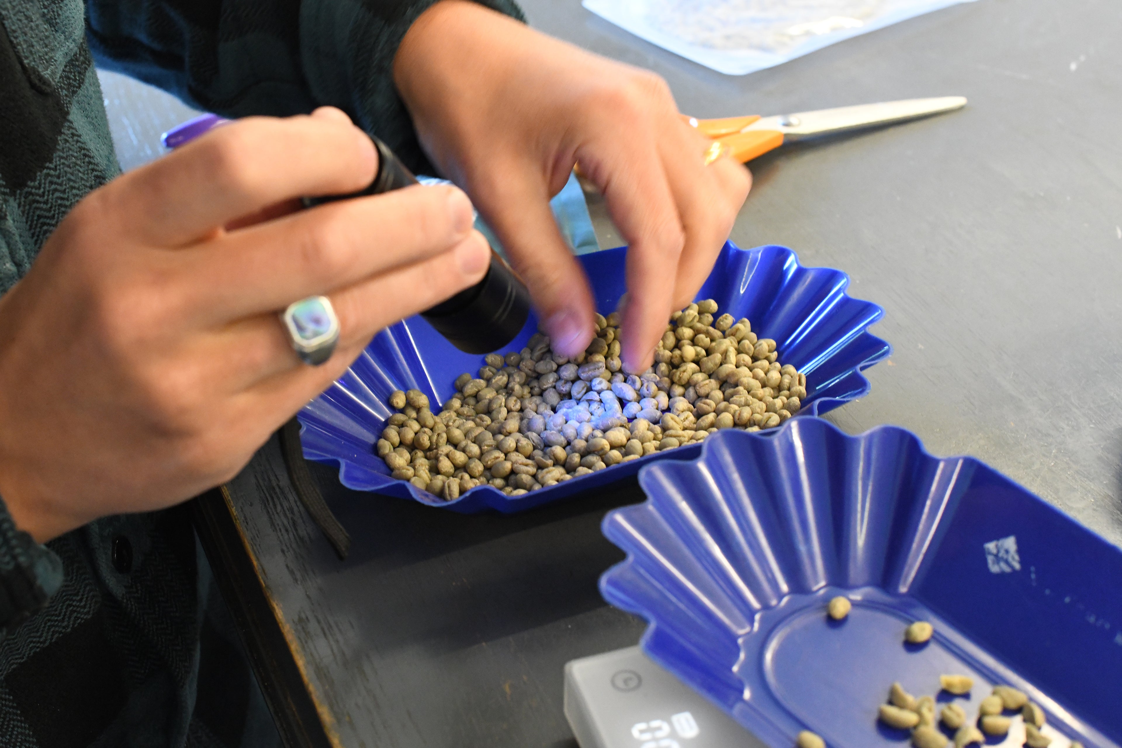 How the Team Assess Green | Sourcing