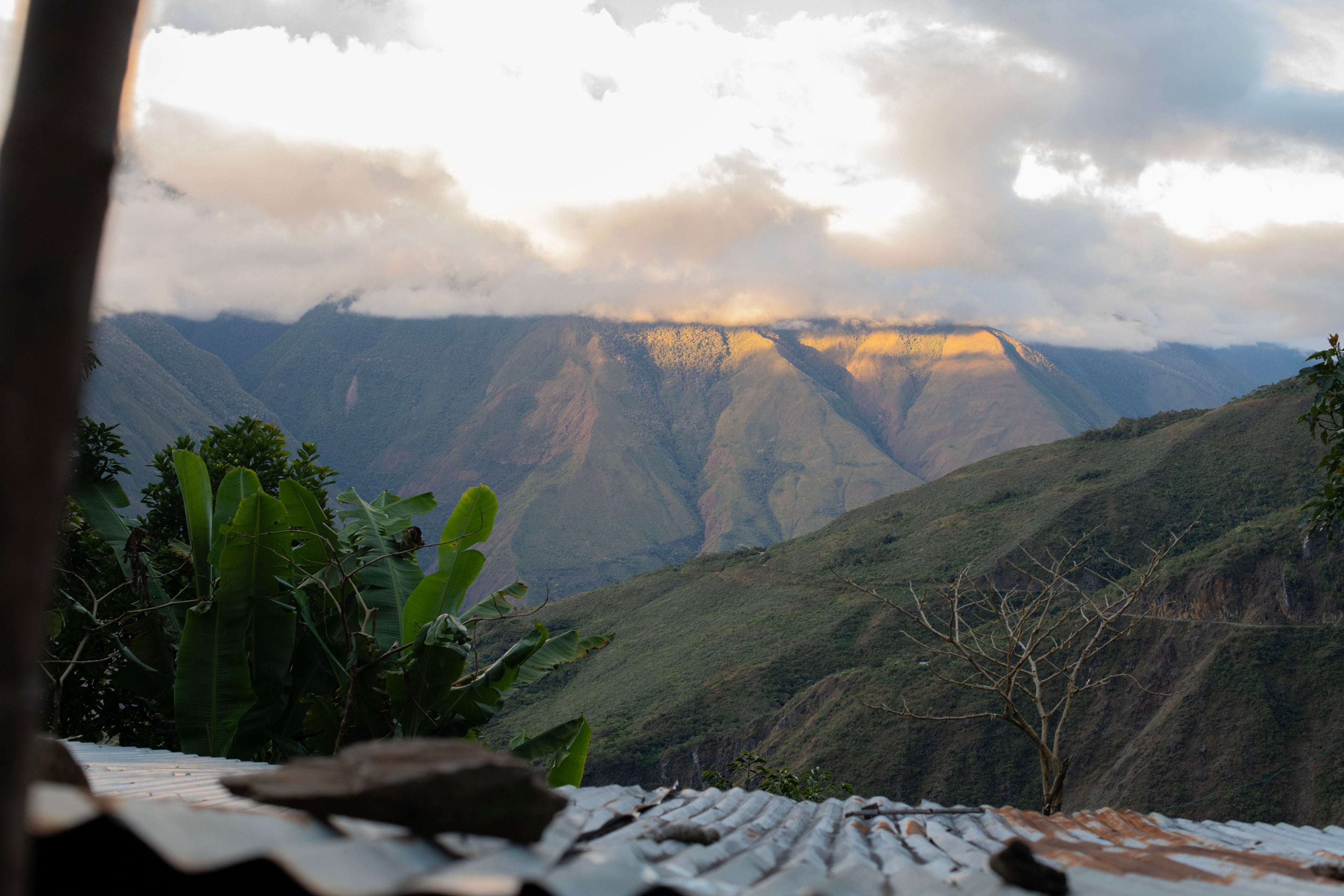 Agustin Ccasa Ccoyo, Peru | In Focus