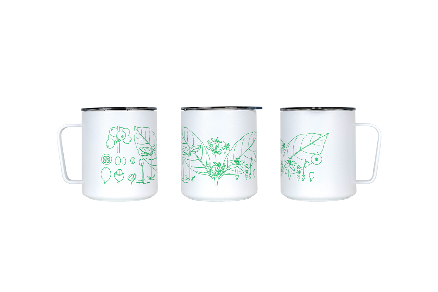 A collaboration with multi-award winning botanical artist Lucy T Smith. £5 from every sale will be donated to World Coffee Research, supporting their vital work in protecting & enhancing the long-term availability of quality coffee.