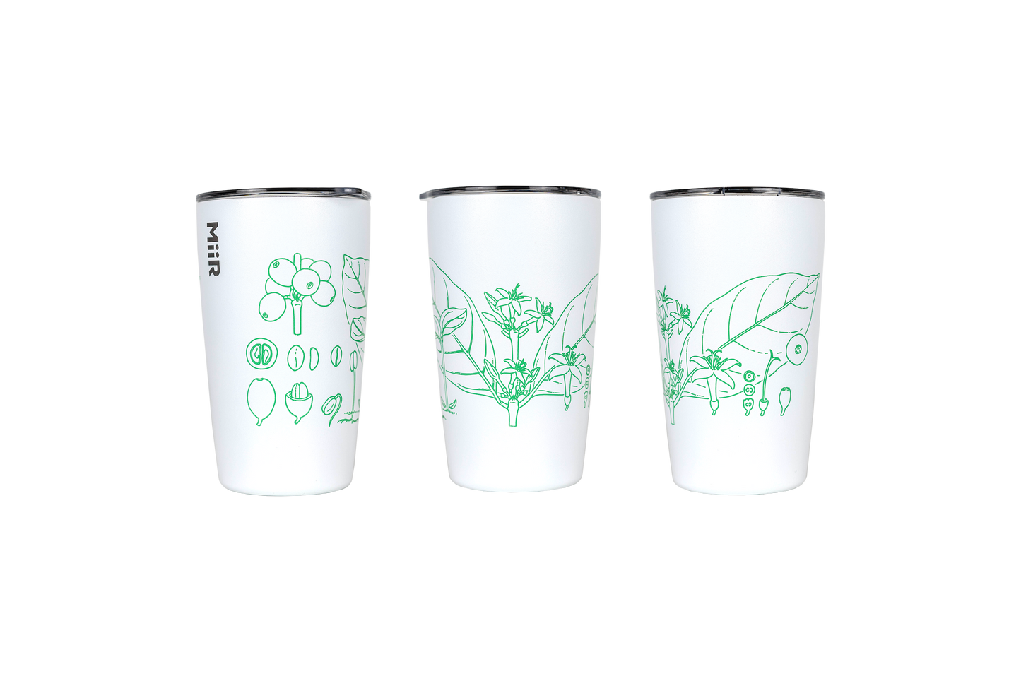 A collaboration with multi-award winning botanical artist Lucy T Smith. £5 from every sale will be donated to World Coffee Research, supporting their vital work in protecting & enhancing the long-term availability of quality coffee.