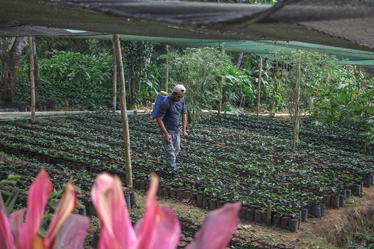 World Coffee Research: Crucial In An Ever-Changing World