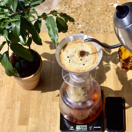 Brewing Iced Filter Coffee At Home