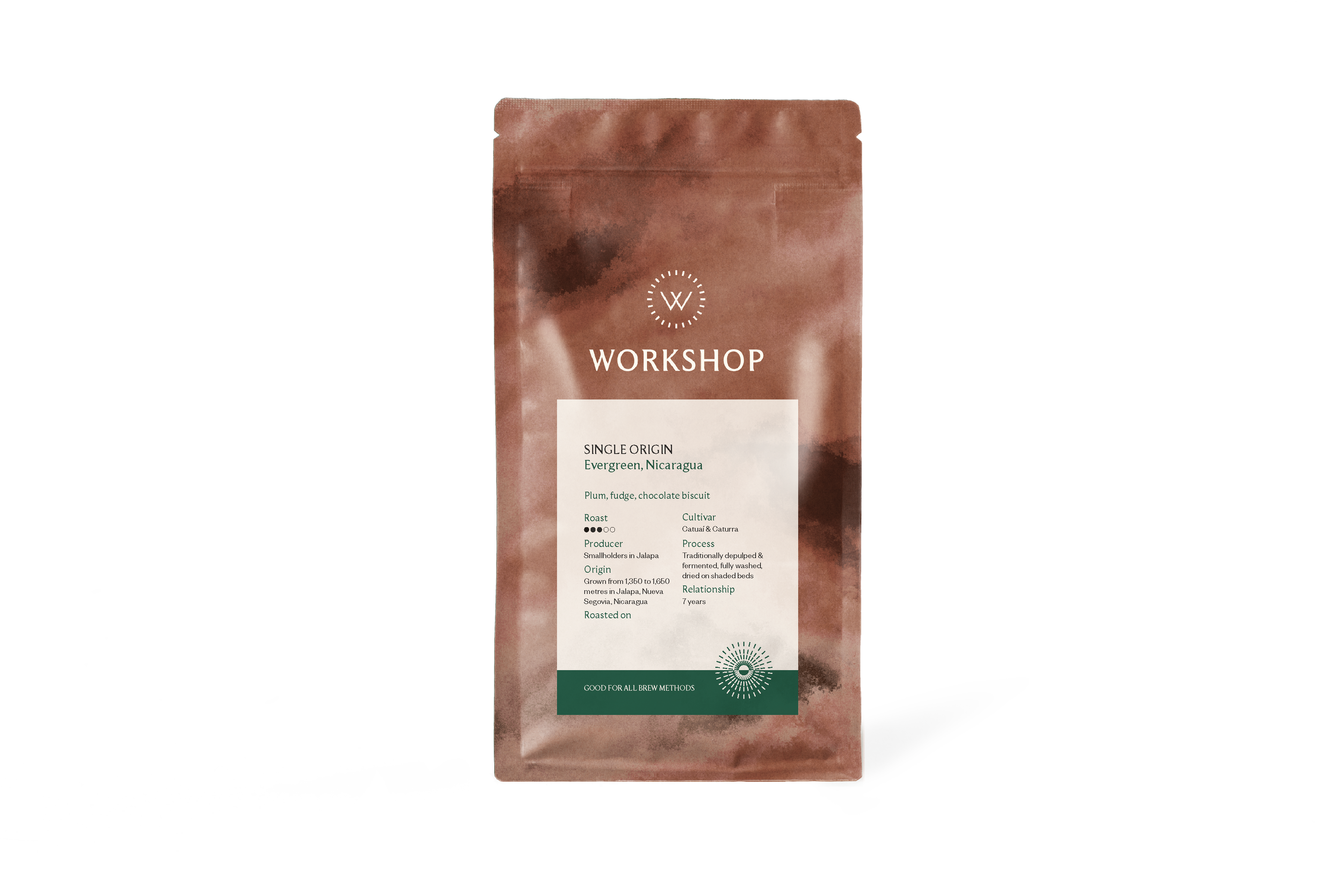 Evergreen by Workshop Coffee