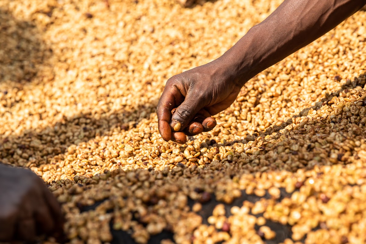 Ryamukona