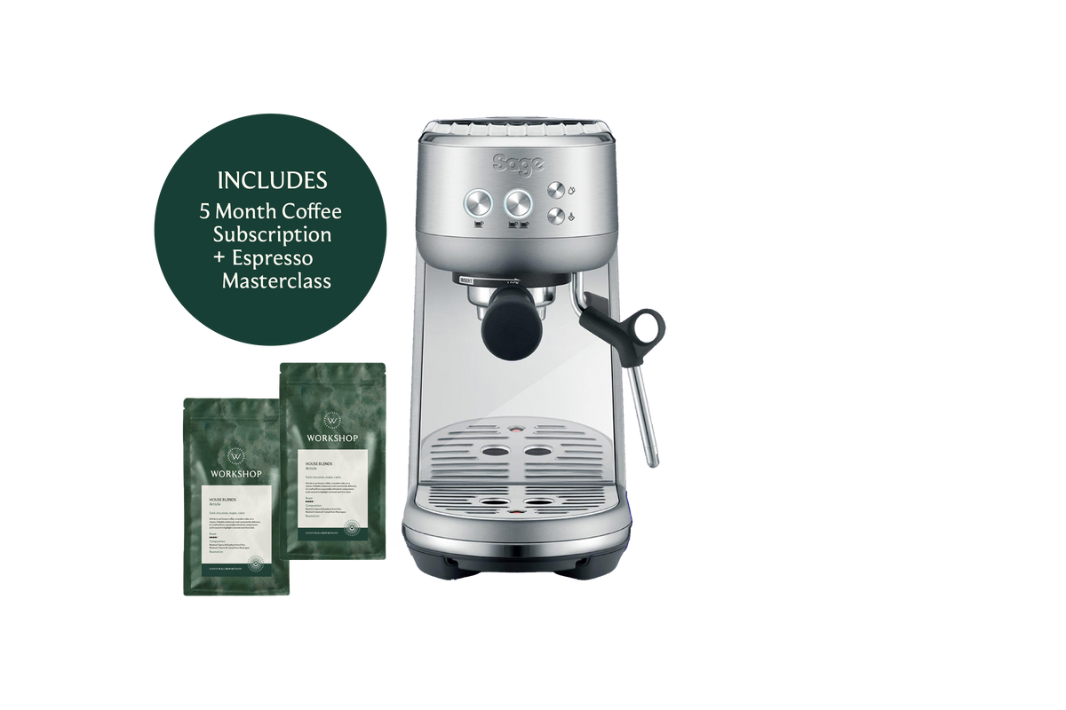 Sage Bambino | Free 5 Month Coffee Subscription + Masterclass