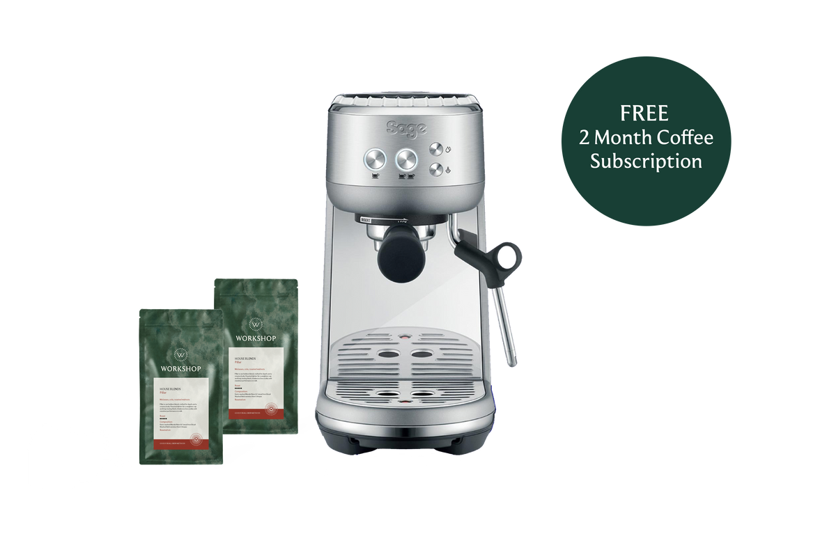 Sage Bambino | Free 5 Month Coffee Subscription + Masterclass